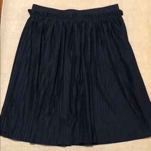 H&M Pleated Skirt